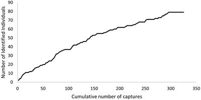 Behavioural Ecology Traits of Elusive Deep-Diver Whales Unravel a Complex Social Structure Influenced by Female Philopatry and Defence Polygyny